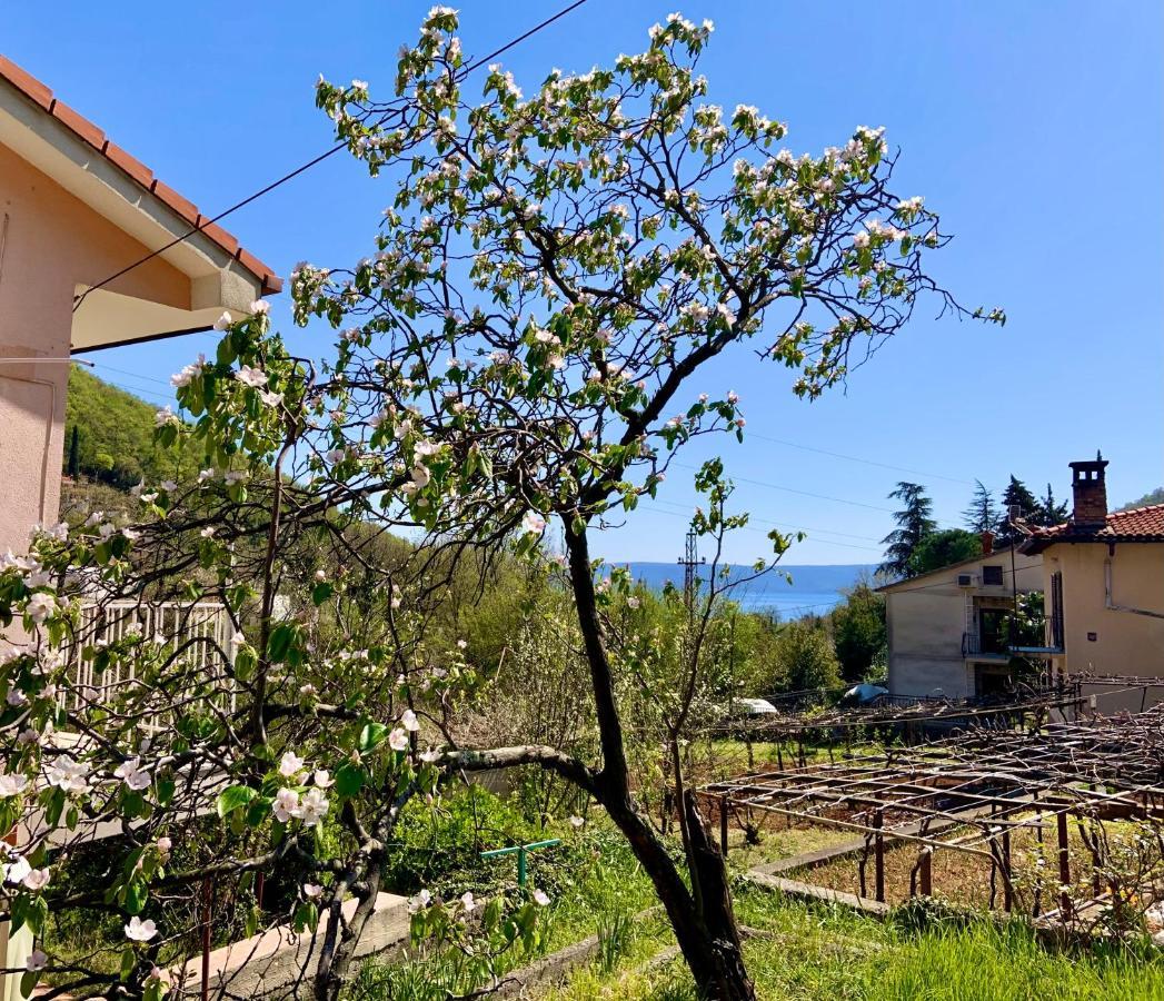 Villa Flamingo Mošćenička Draga Buitenkant foto
