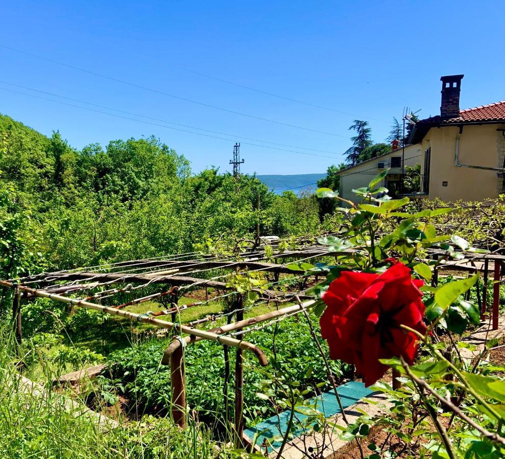 Villa Flamingo Mošćenička Draga Buitenkant foto